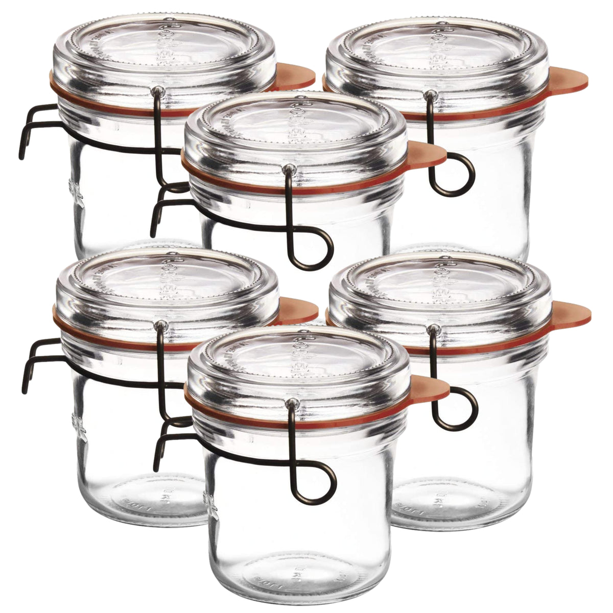 6PCS Luigi Bormioli 200ml Glass Food Storage Silicone Lid