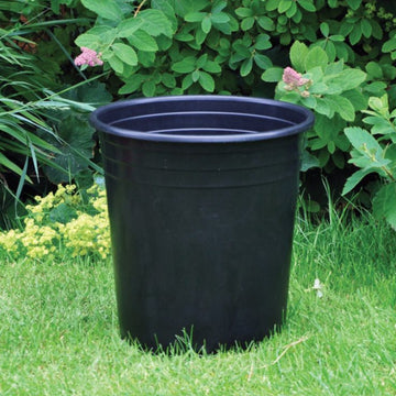 28cm Tomato Planter Black Pot