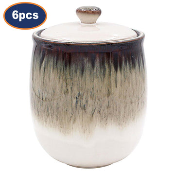 6Pcs 1L Ceramic Reactive Glaze Multipurpose Canisters