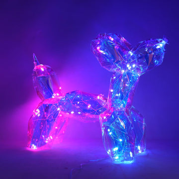 Starlightz Holographic Crystal LED Dog Night Light