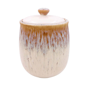 1L Reactive Glazed Storage Jar with Lid