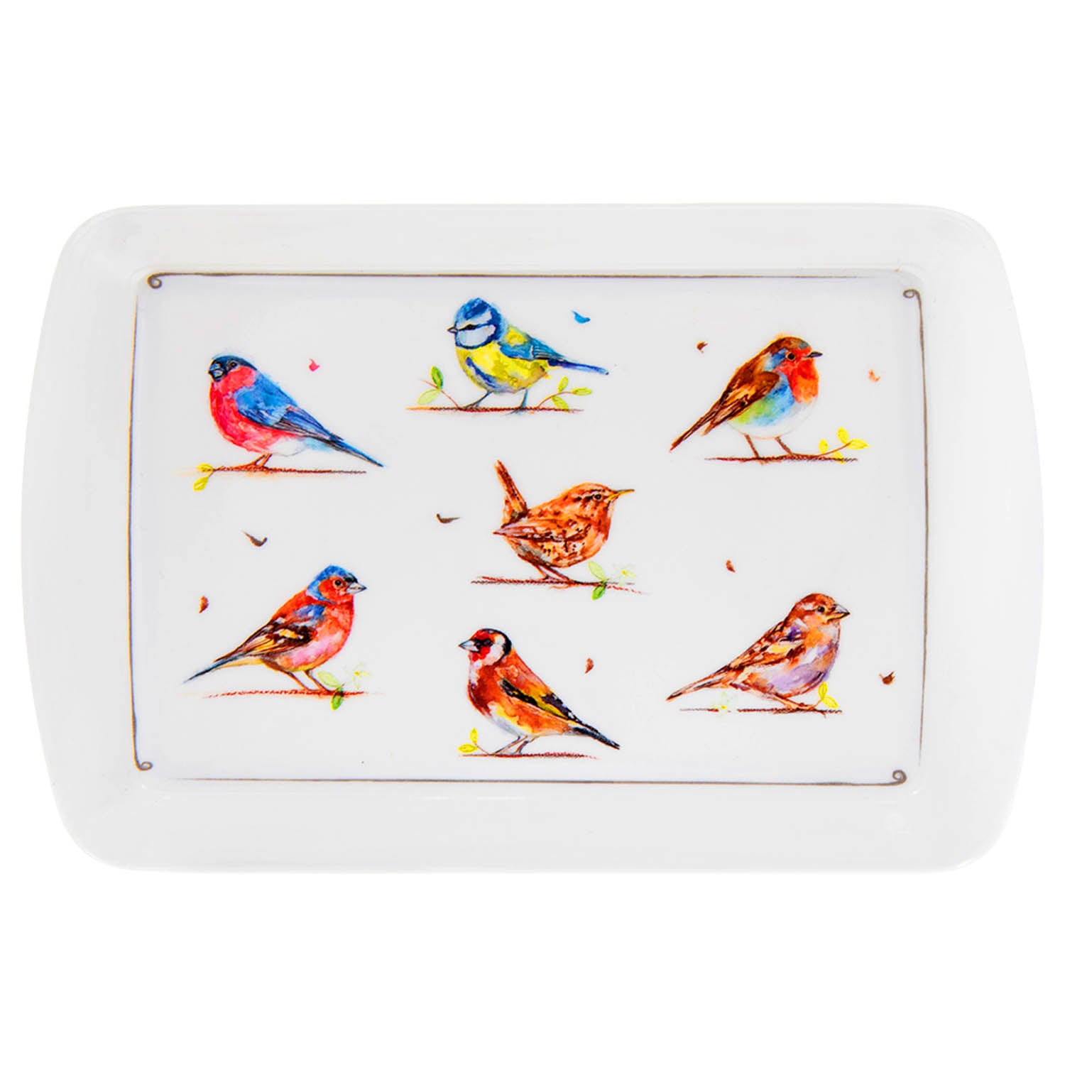 Small Rectangular Snack Tray - Birds