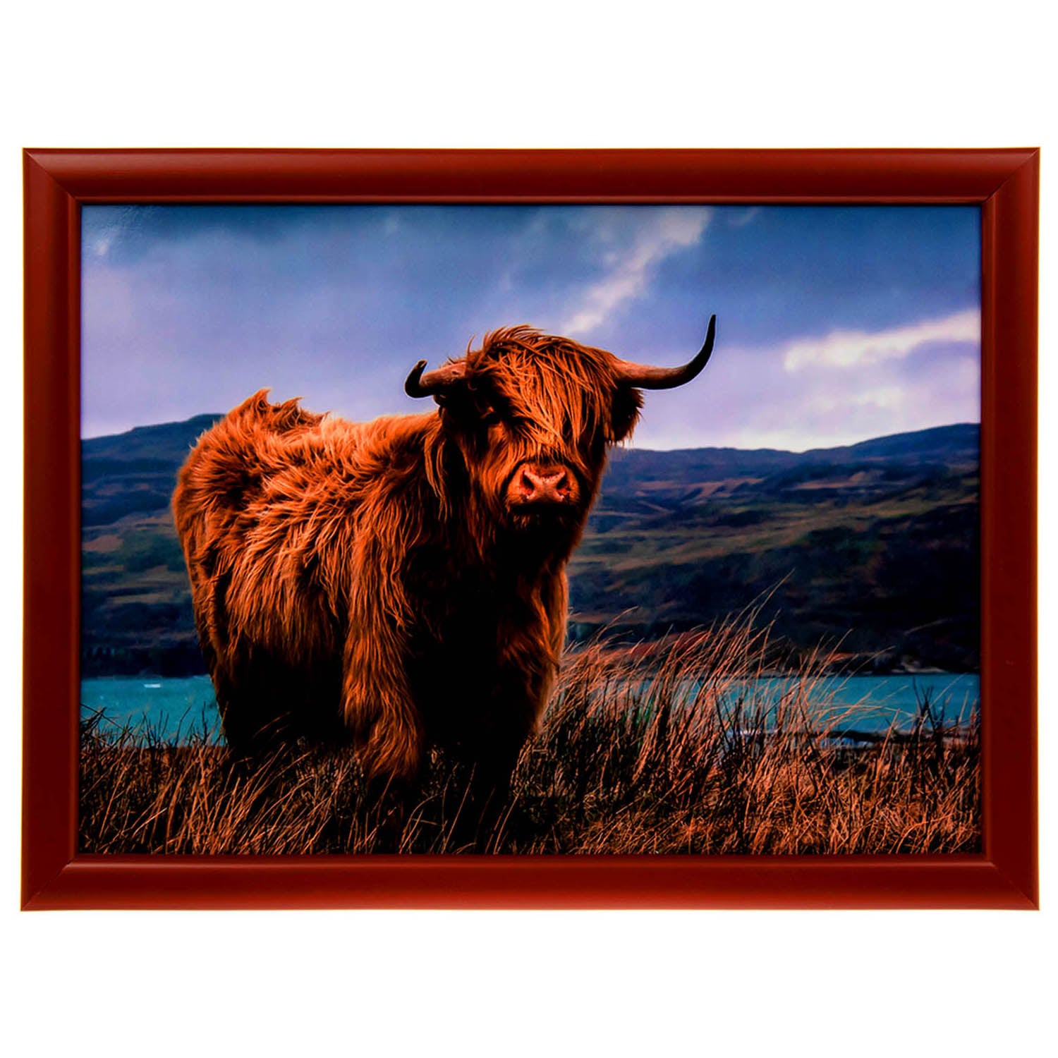 Cushioned Bean Bag Laptray - Highland Cow