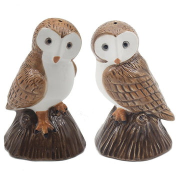 Ceramic Barn Owls Salt & Pepper Shakers