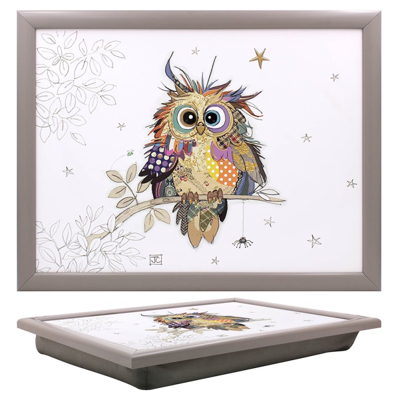 Bug Art Otto Owl Bean Bag Padded Cushioned Lap Tray