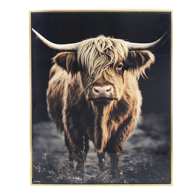 50x70cm Hanging Poster Highland Cow Wall Art