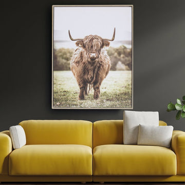50x70cm Hanging Poster Highland Cow in Fields Wall Art