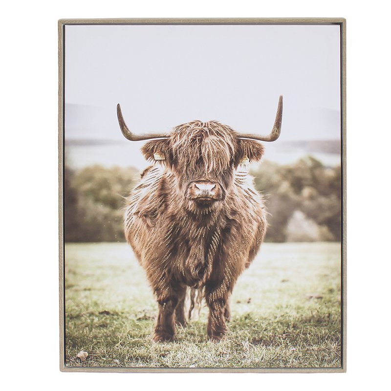 50x70cm Hanging Poster Highland Cow in Fields Wall Art