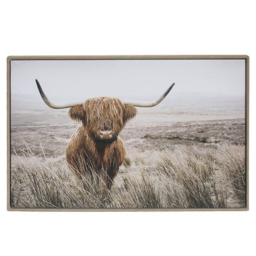 70x50cm Hanging Poster Highland Cow in Fields Wall Art