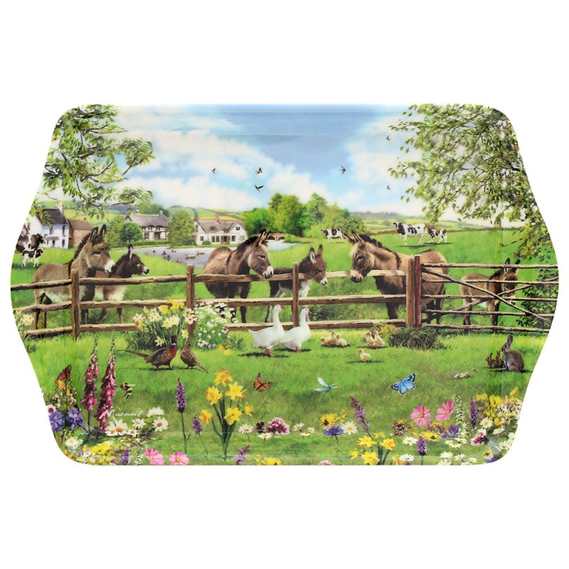 Farm Donkeys Melamine Small Rectangular Serving Tray