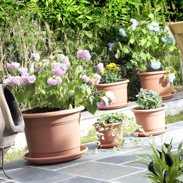 2pcs 30cm Brown Terracotta Milano Planter Saucer Drip Tray