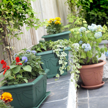 60cm Window Box Planter Plastic Green Garden Trough