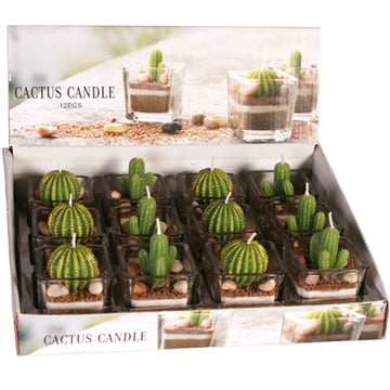 2 Piece Decorative Cactus Plant Candle Tea Light Candles In Glass Home Decor