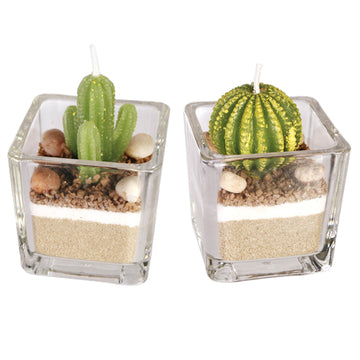 2 Piece Decorative Cactus Plant Candle Tea Light Candles In Glass Home Decor
