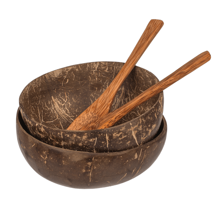 2Pcs Coconut Bowls with Spoons Set