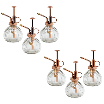 6Pcs Vintage Glass Plant Misting Bottle
