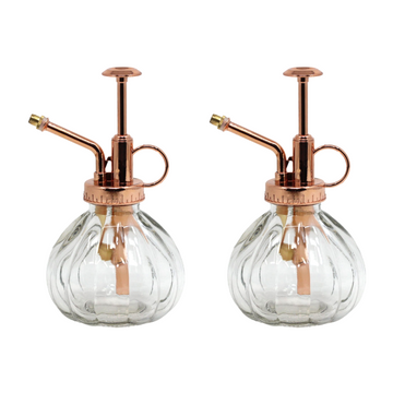 2Pcs Vintage Glass Plant Misting Bottle
