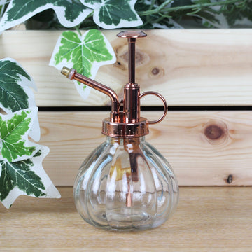 2Pcs Vintage Glass Plant Misting Bottle