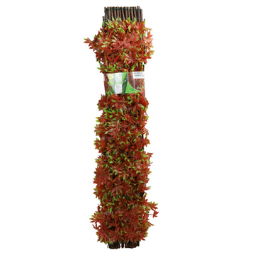 Red Acer Expanding Leaf Trellis