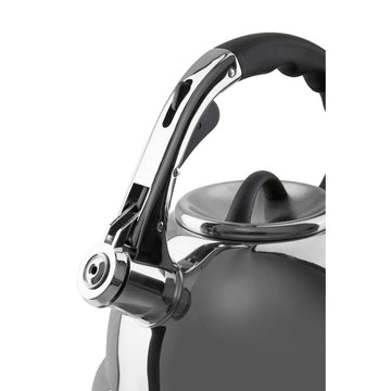 Mirrored Whistling Kettle 3.2 L