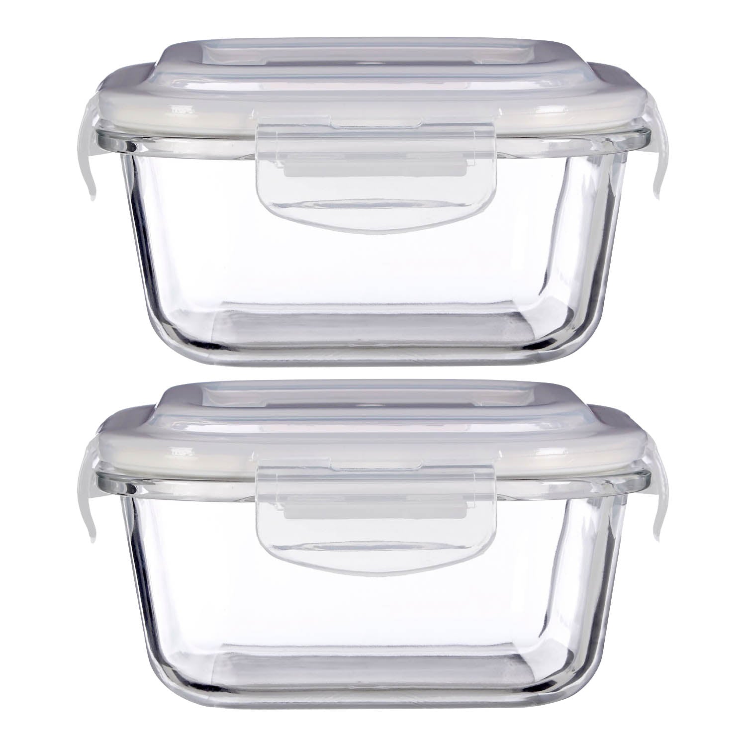 Set of 2 Freska 520ml Glass Food Container