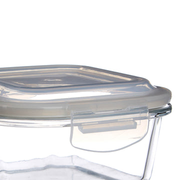 320ml Freska Container Borosilicate Glass