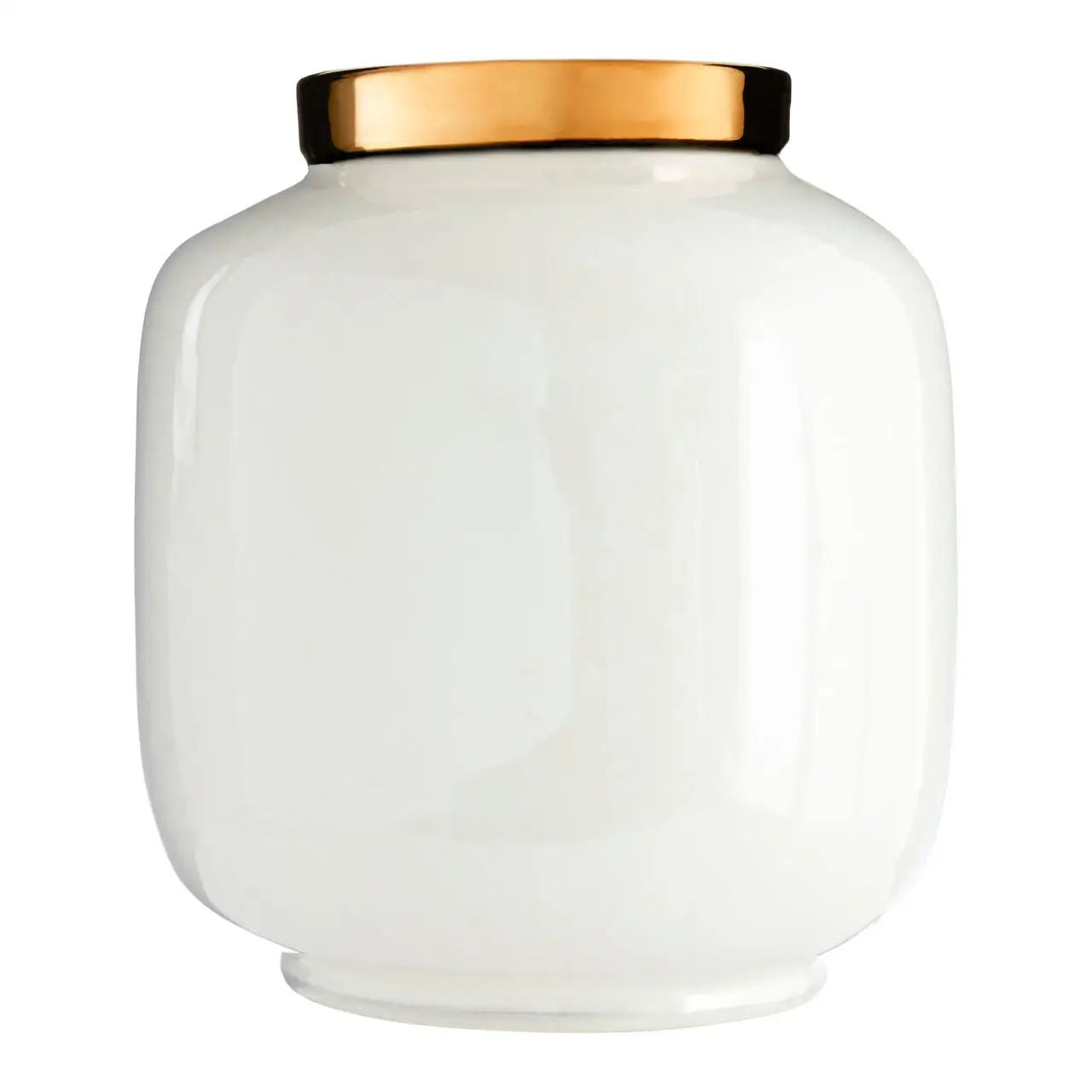 Stellaris White & Gold Metallic Vase