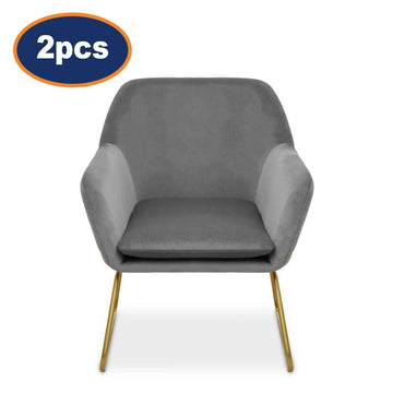 2Pcs Xavier Grey Velvet & Gold Powder Armchairs