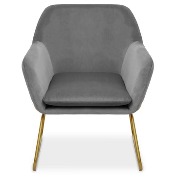 2Pcs Xavier Grey Velvet & Gold Powder Armchairs