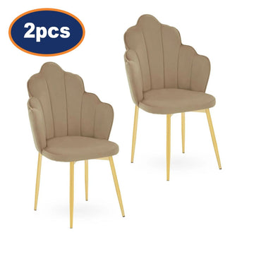 2Pcs Rian Mink Velvet & Gold Dining Chairs