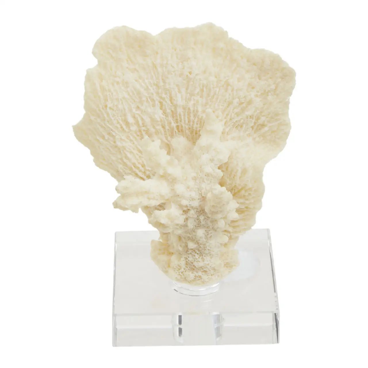 Bohemian Small White Coral