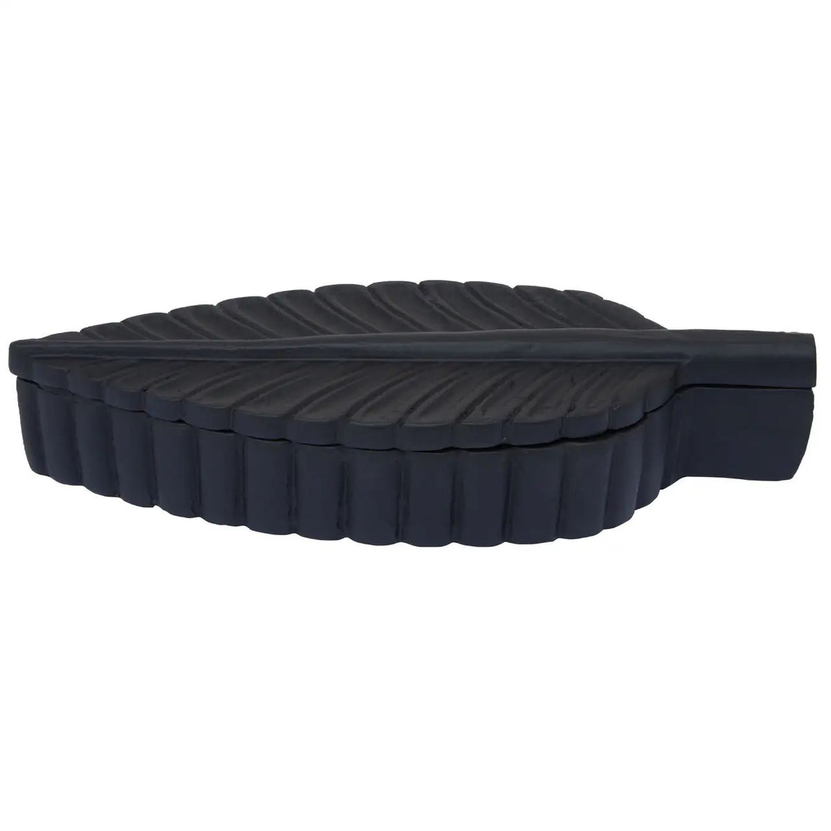 Lustrous Black Plume Box