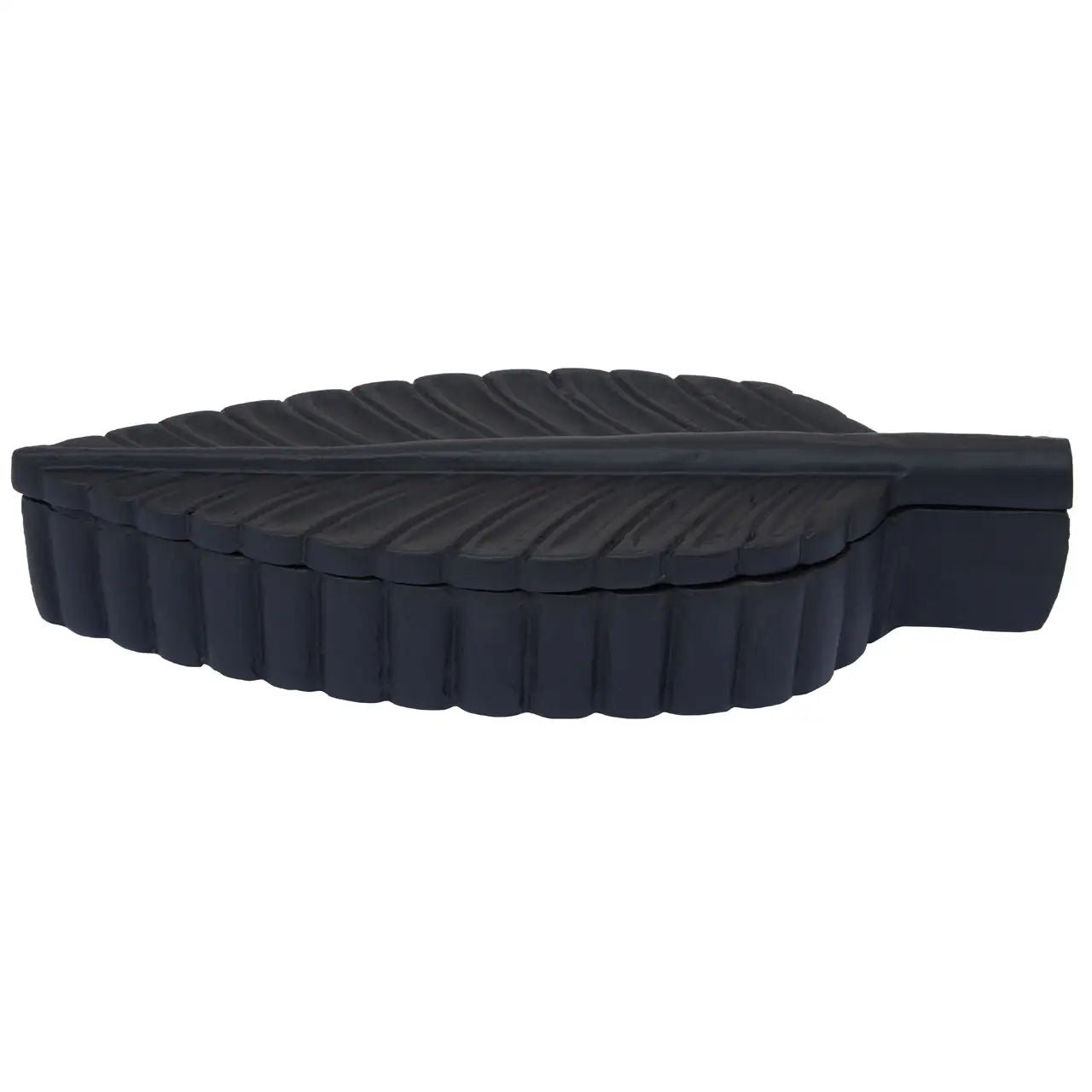 Lustrous Black Plume Box