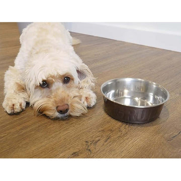 Medium Stainless Steel Non Slip Standard Pet Food Bowl