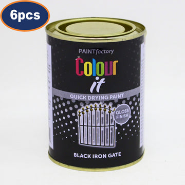 6PCS Colour It 300ml Iron Gate Black Gloss Metal Steel Railings Quick Dry Paint