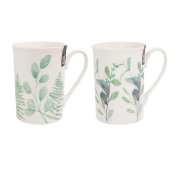 4Pcs 270ml Eucalyptus & Fern Straight Mugs