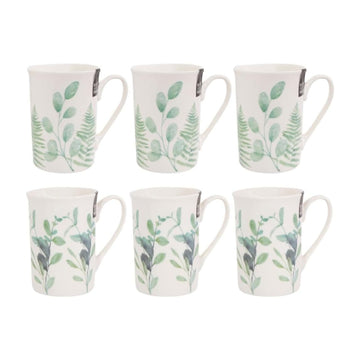 6Pcs 270ml Eucalyptus & Fern Straight Mugs
