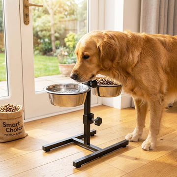 Adjustable Height Double Bowl Stainless Steel Dog Feeder
