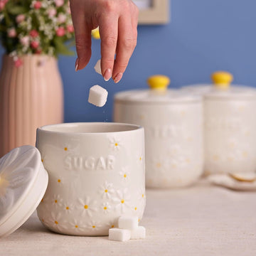 Price & Kensington 700ml Daisy Sugar Storage Jar