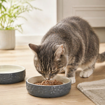 Mason Cash 13cm Grey Stoneware Bowl Pet Feeding Plate