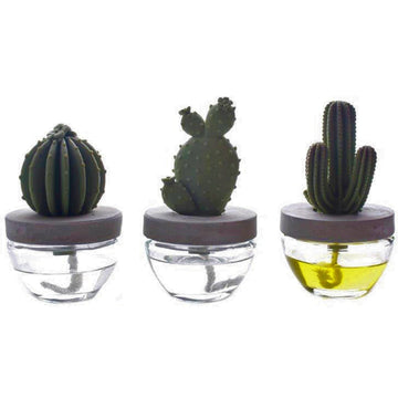 100ml Cactus Oil Scented Fragrance Diffuser