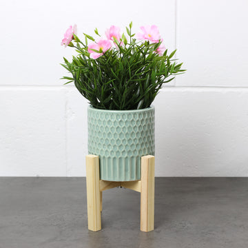 Large Planter on Wooden Stand