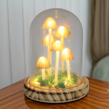 16.5cm Glass Dome Mushroom Wooden Base LED Table Lamp