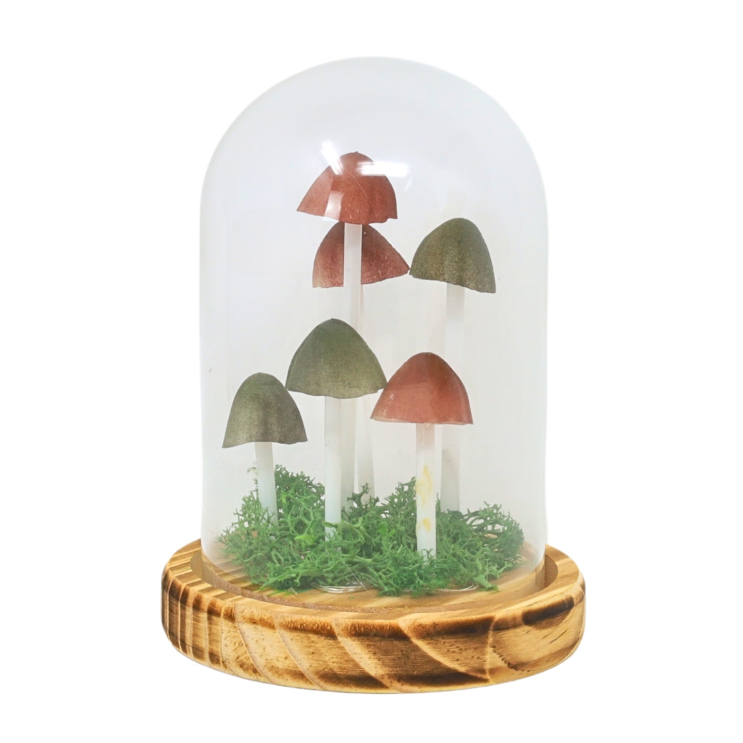 16.5cm Glass Dome Mushroom Wooden Base LED Table Lamp