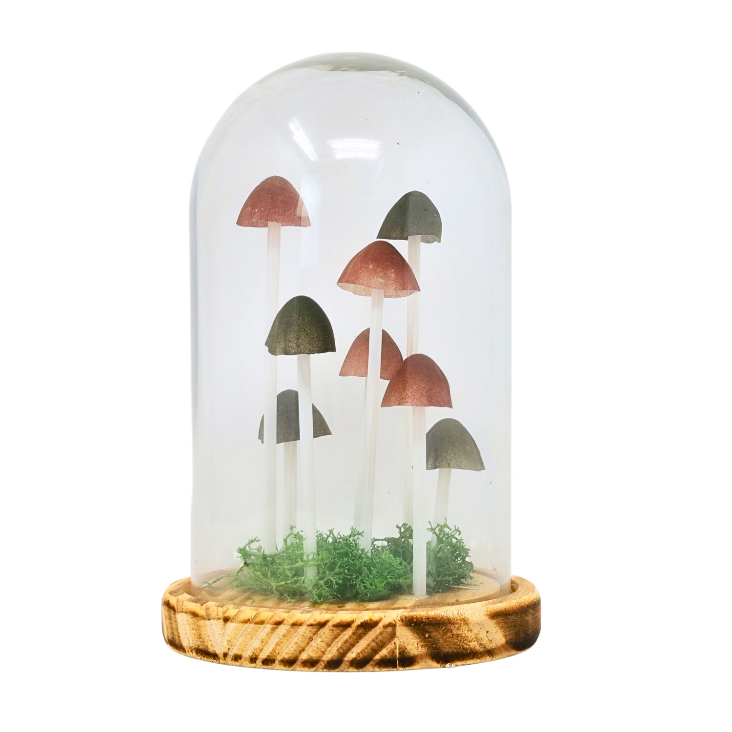 22.5cm Glass Dome Mushroom Wooden Base LED Table Lamp