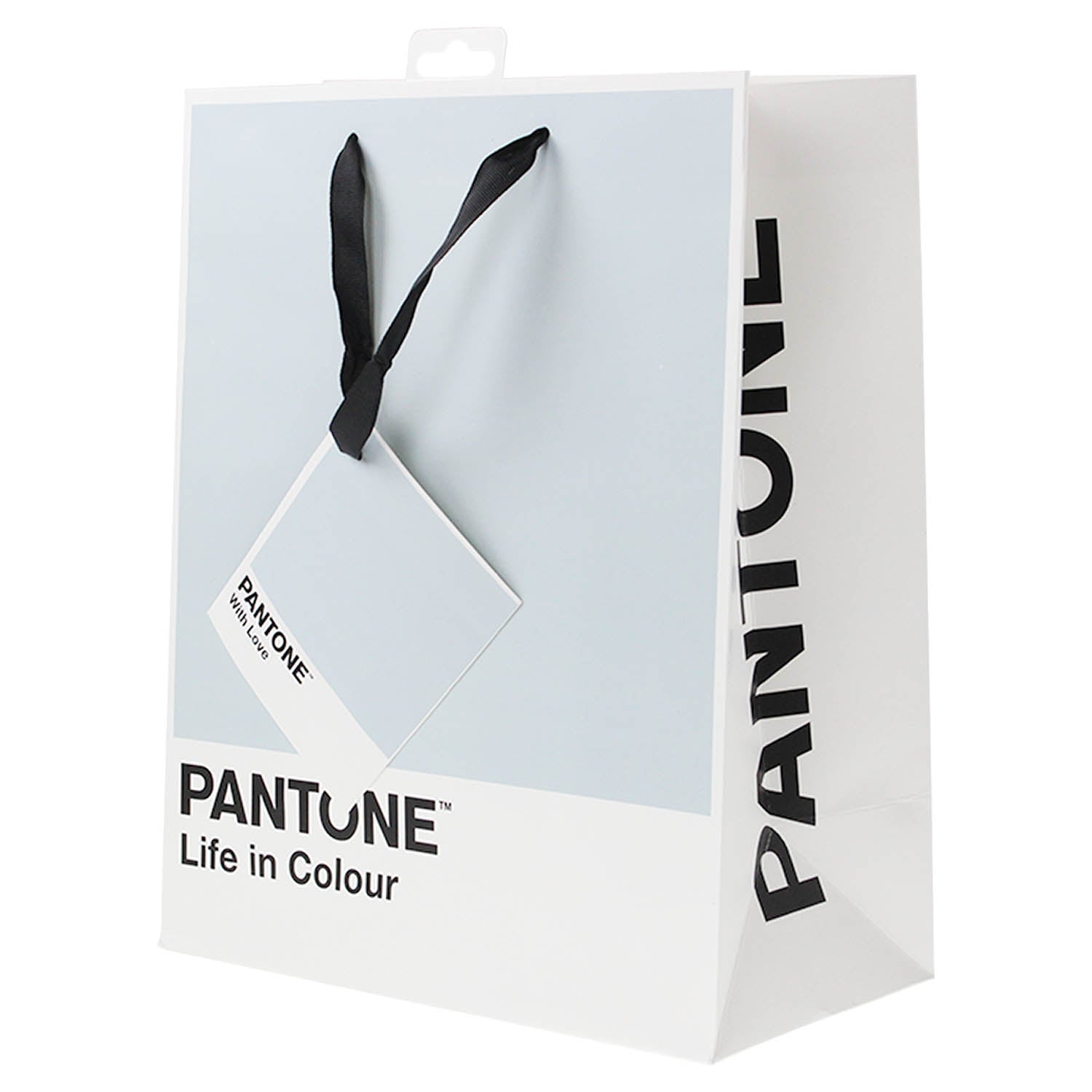 Tonal Blue Pantone Paper Bag