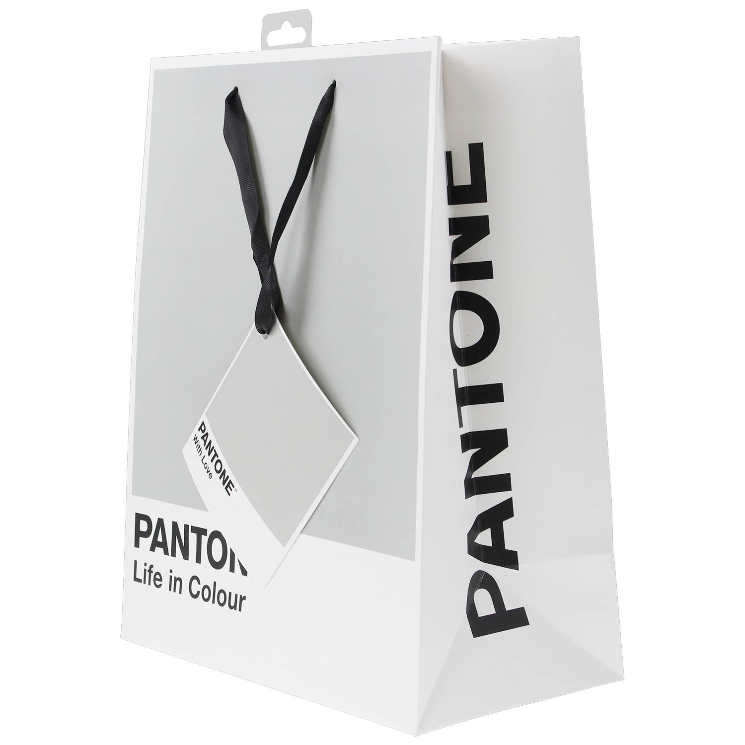 Tonal Grey Pantone Paper Bag