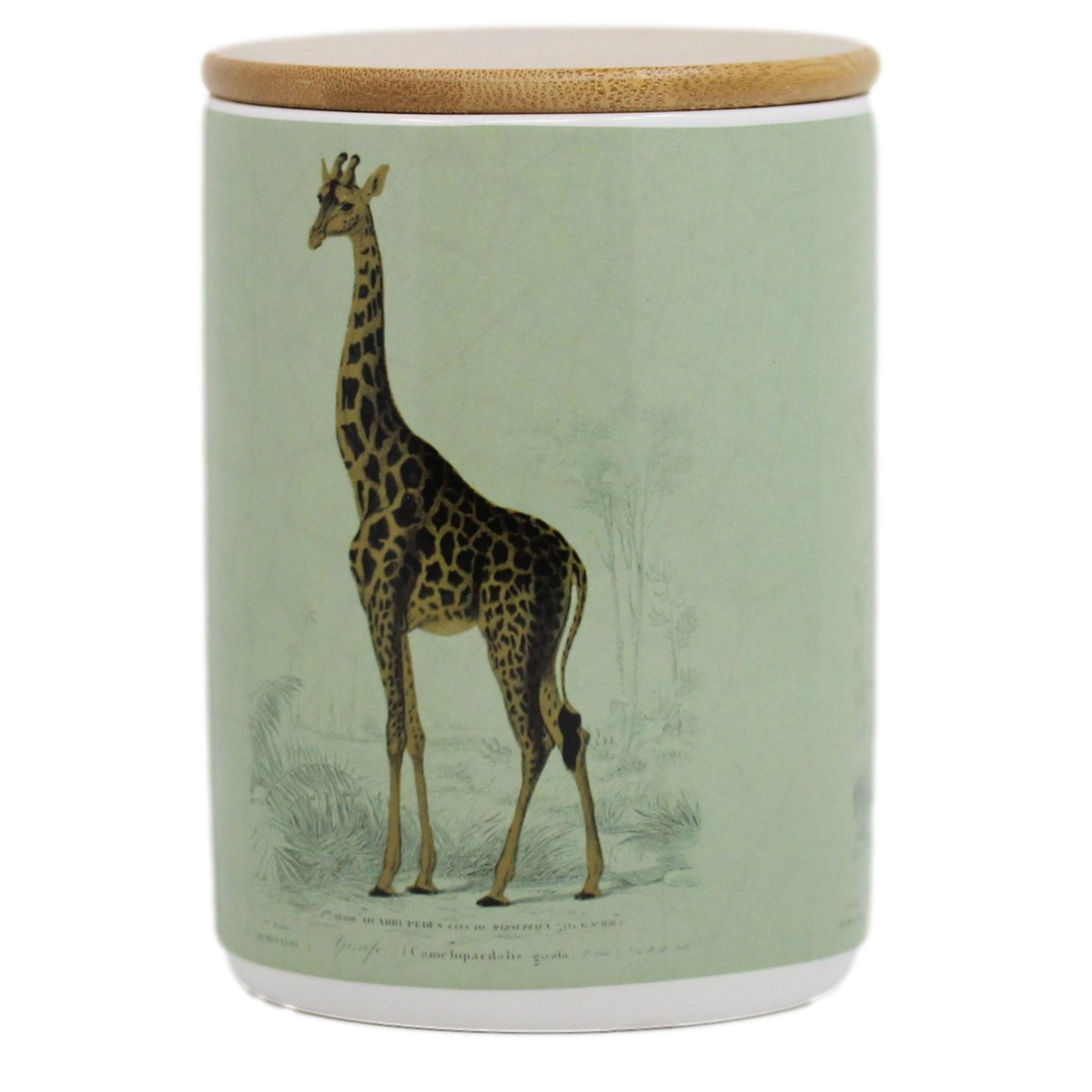 Vintage Giraffe Ceramic Storage Jar