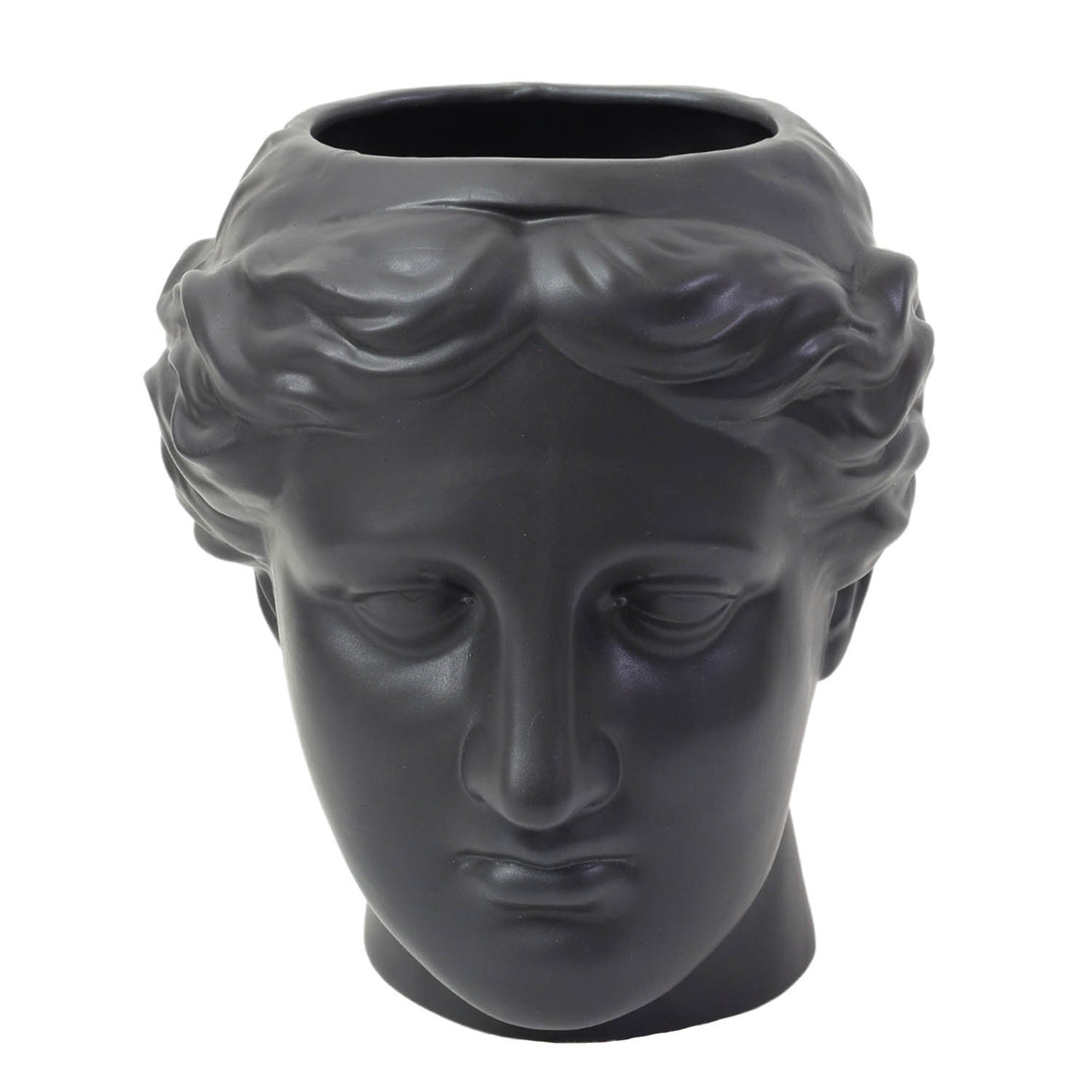 Black Monochrome Venus Head Shaped Succulent Plant Pot