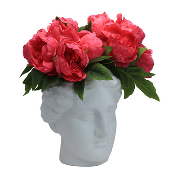 Black Monochrome Venus Head Shaped Succulent Plant Pot